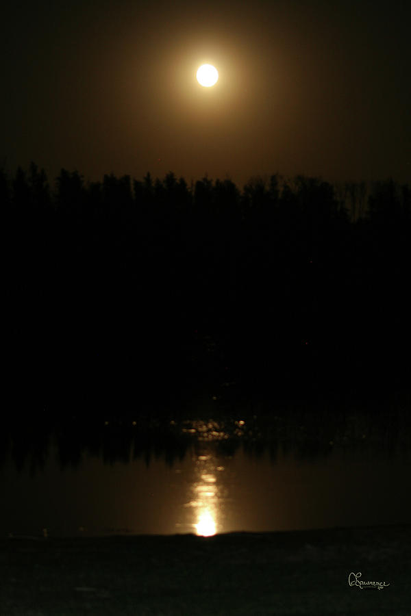 Full Moon on Piprell Lake Photograph by Andrea Lawrence