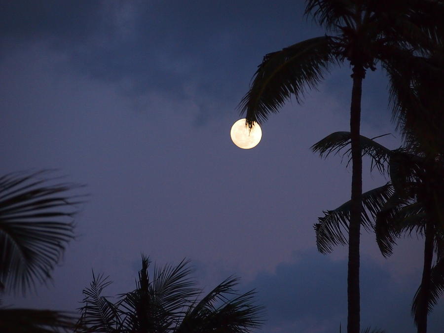 Full-moon on the beach Photograph by Michael Carballo | Fine Art America