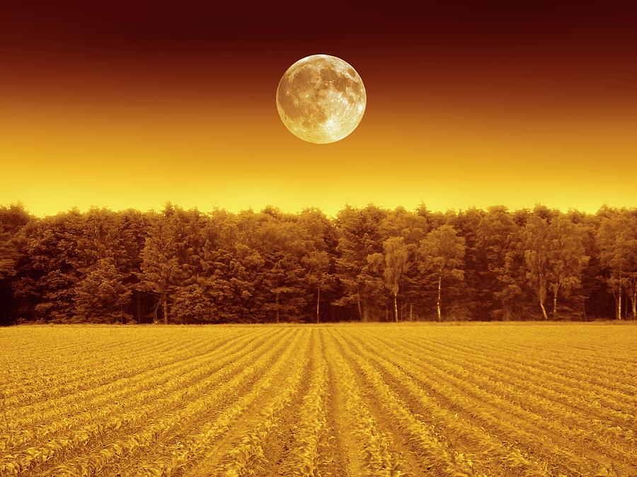 Full Moon Over A Field Photograph by Detlev Van Ravenswaay