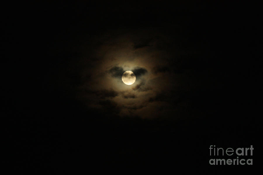 Full Moon Over Long Island Photograph by John Telfer
