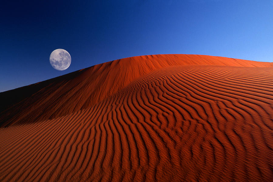 Full Moon over Red Dunes Photograph by Charles ORear/Corbis/VCG