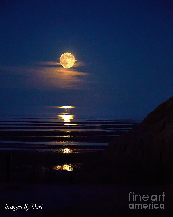 Full Moon Over Sea Of Cortez Photograph By Dori Mclaurin