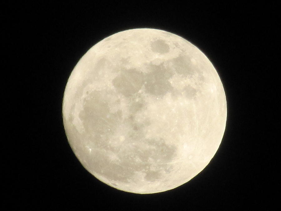 Full Moon Over Texas Photograph by Shawn Hughes