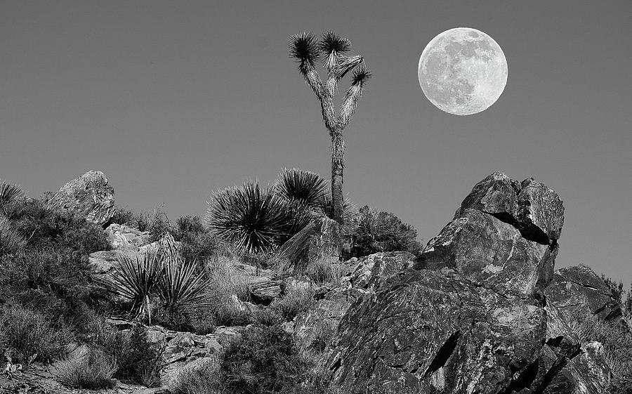 Full Moon over the Desert Photograph by Marilyn McFarlin Full Moon over the Desert Photograph by Marilyn McFarlin