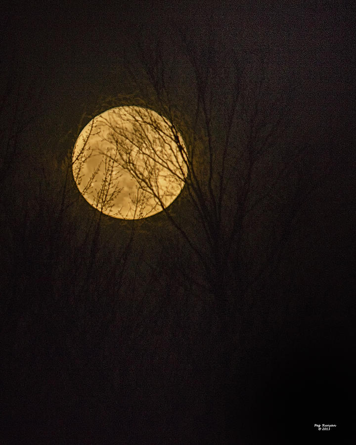Full Moon Photograph by Peg Runyan