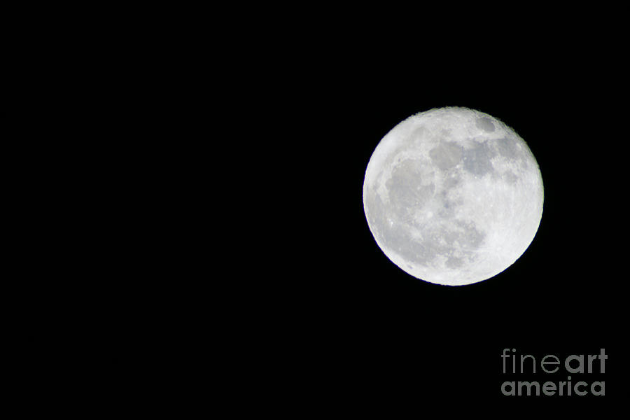 Full Moon Photograph by Randy Harris