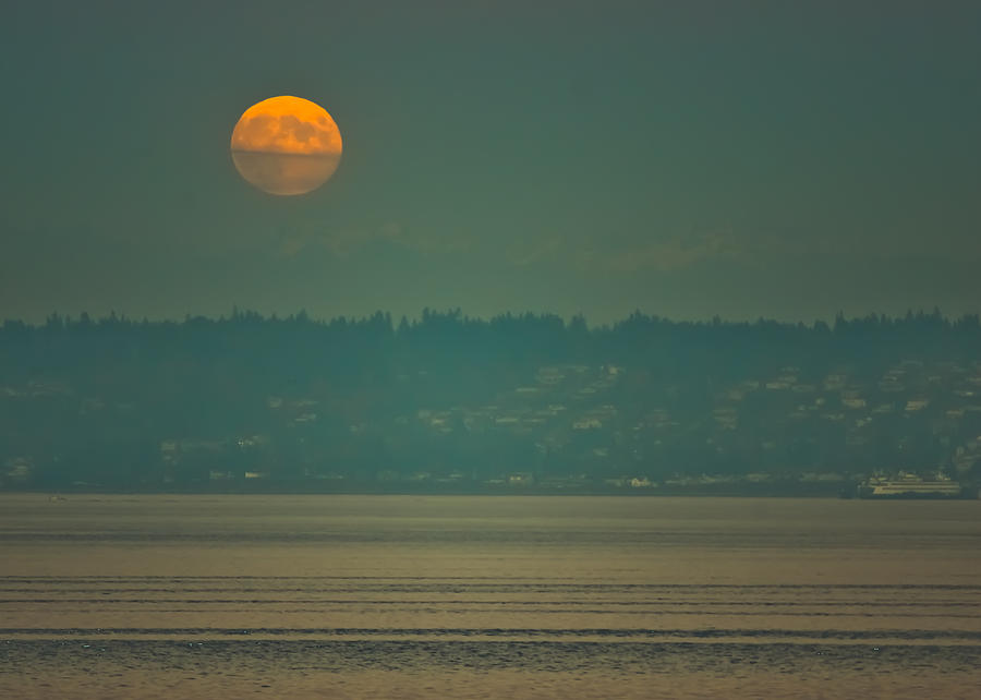 Full Moon Rises Photograph by Ronda Broatch