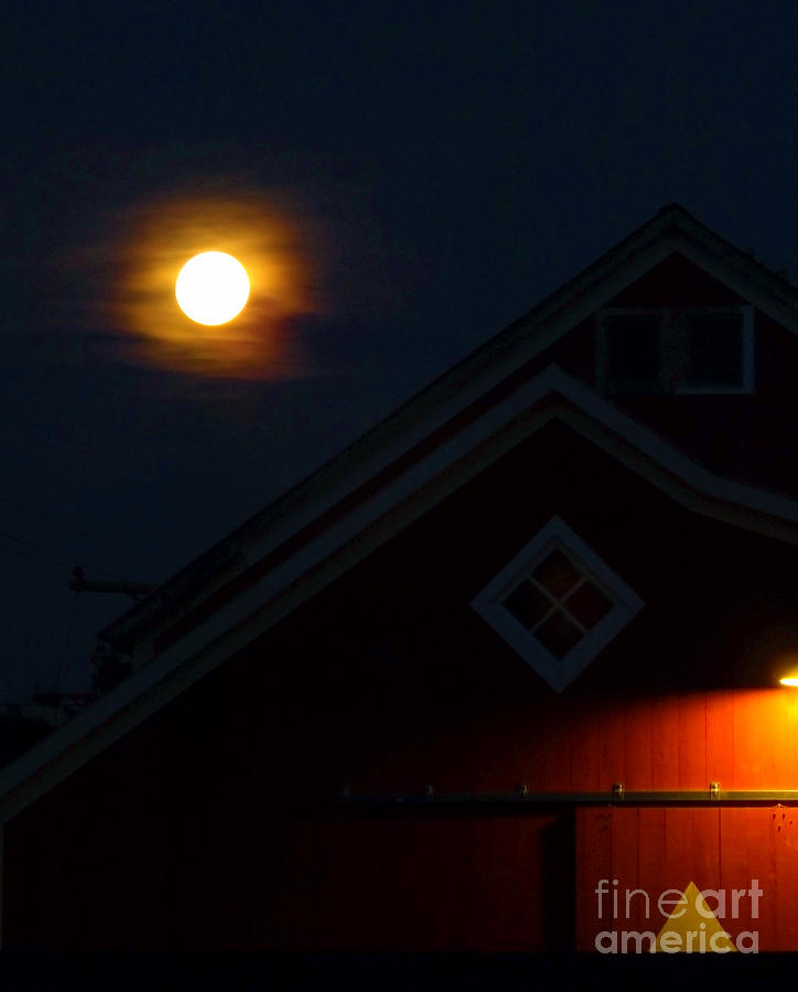 Full Moon Rising 1 Photograph by James Aiken