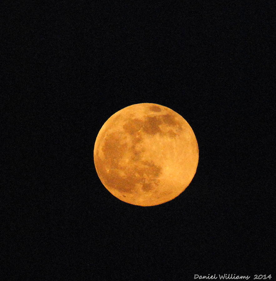 Full Moon Rising Photograph by Dan Williams