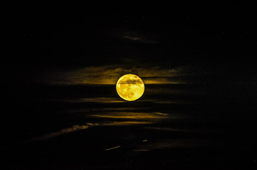 Scenic Photograph - Full Moon Rising by Everett Leigh