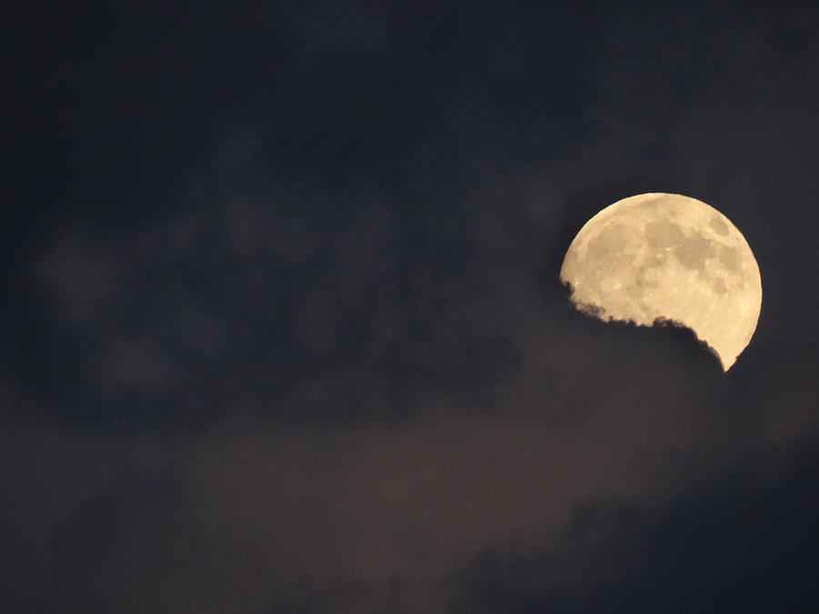 Full Moon Rising Photograph