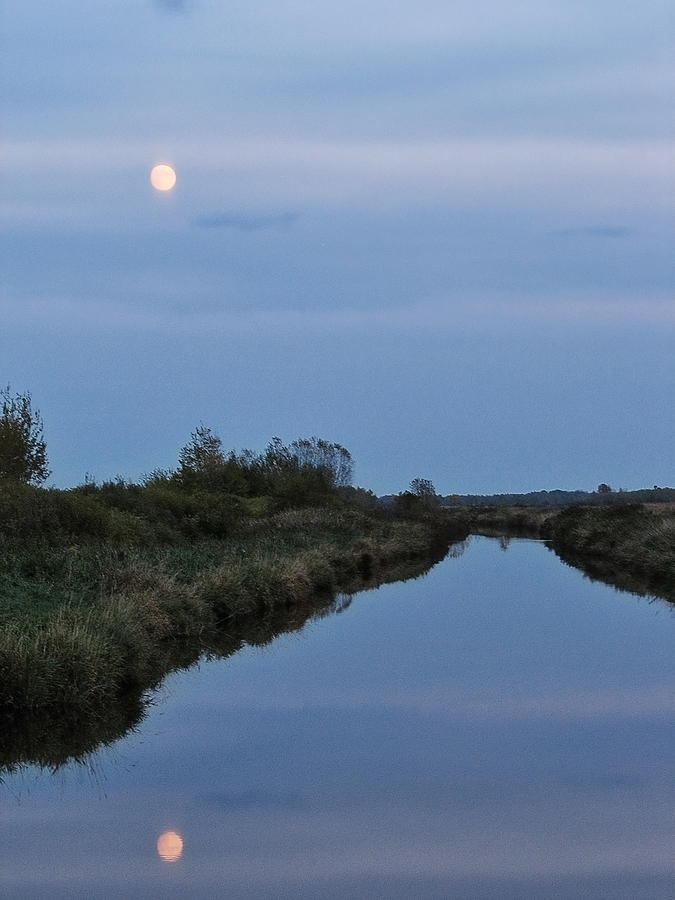 Full Moon Rising Over The Marsh Photograph by Dale Kauzlaric