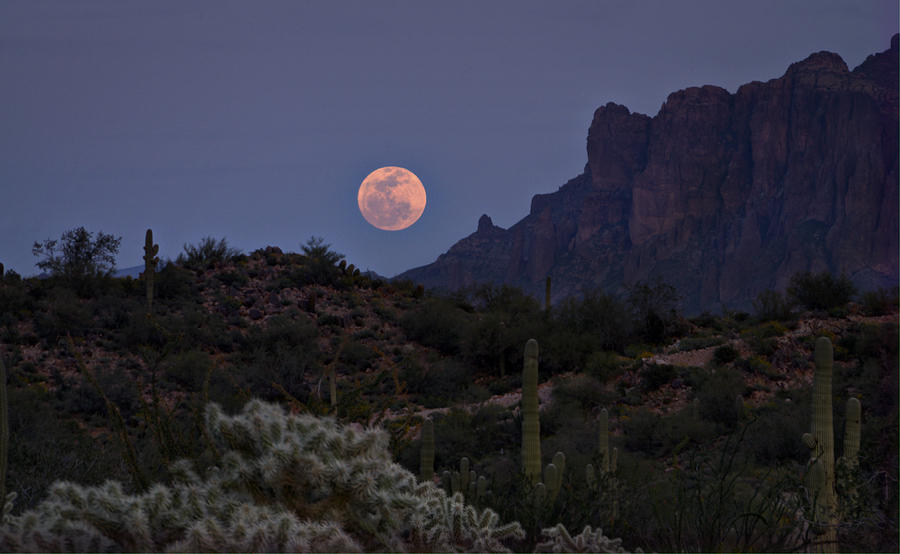 Nature Photograph - Full Moon Rising  by Saija Lehtonen