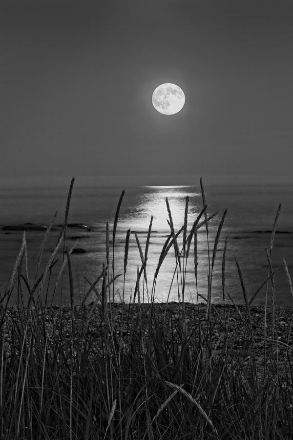 Full Moon Seawall Beach Acadia National Park Photograph by Keith Webber Jr