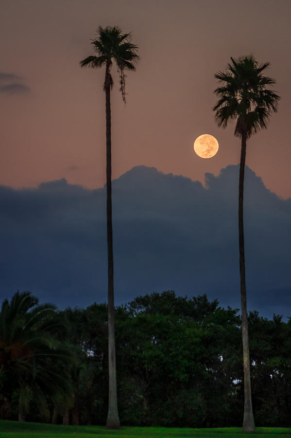 Full moon setting Photograph by Christopher Perez