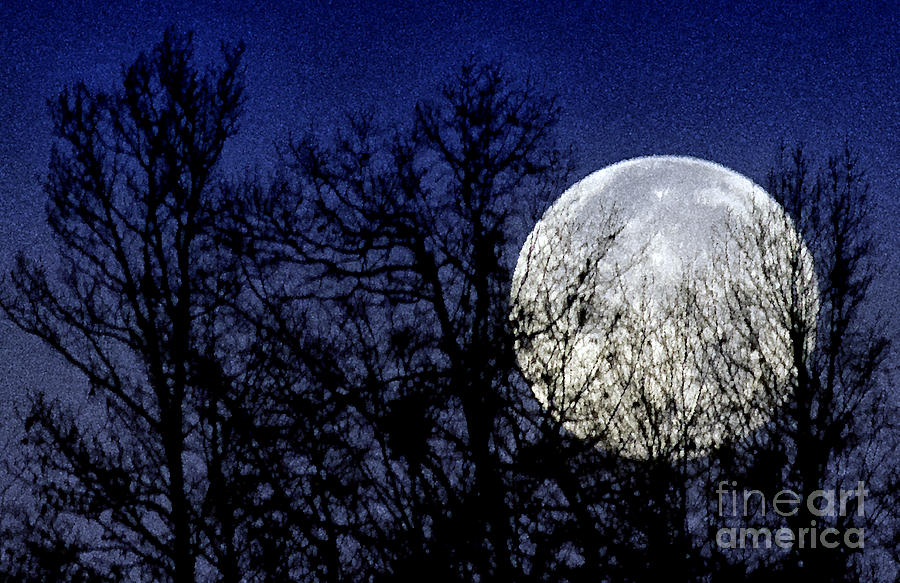 Full Moon Setting Photograph by Thomas R Fletcher - Pixels