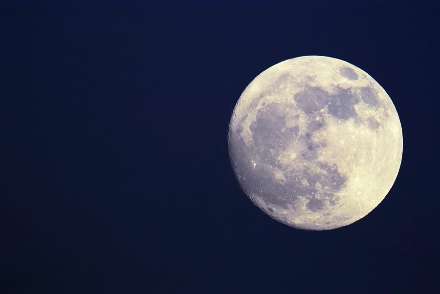 Full Moon Photograph by Sjo