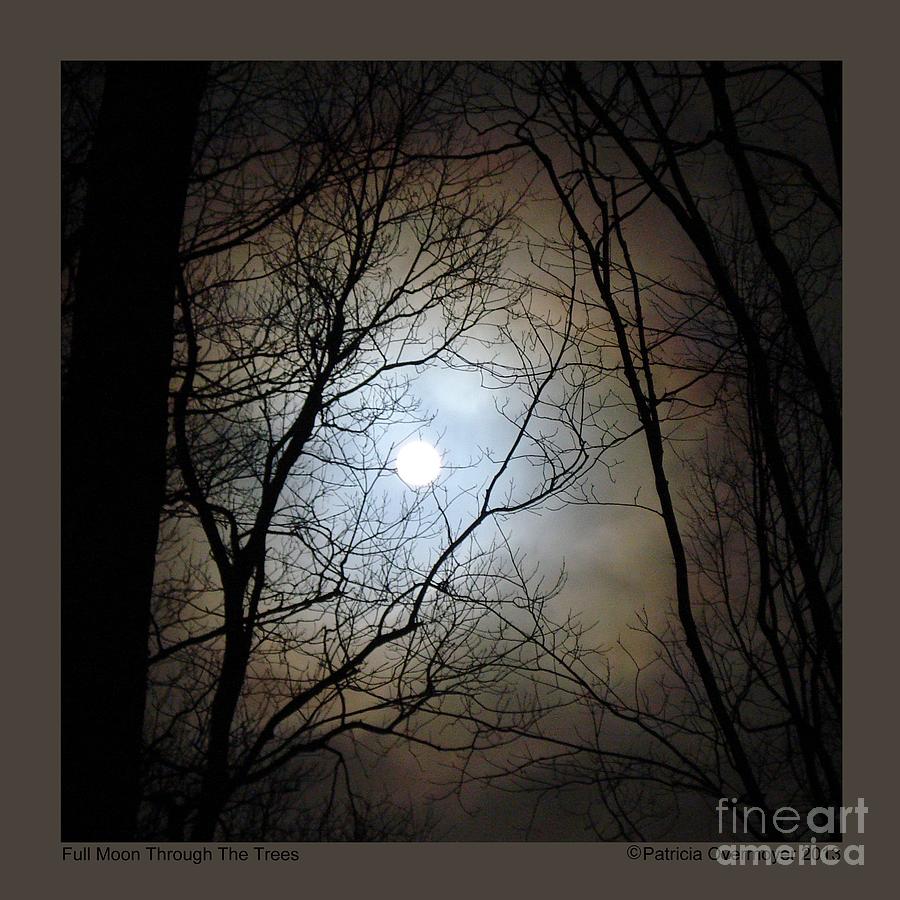 Tree Photograph - Full Moon Through the Trees by Patricia Overmoyer
