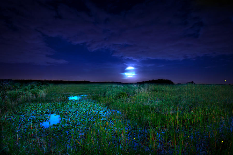 Full Moons And Fireflies Photograph by Mark Andrew Thomas