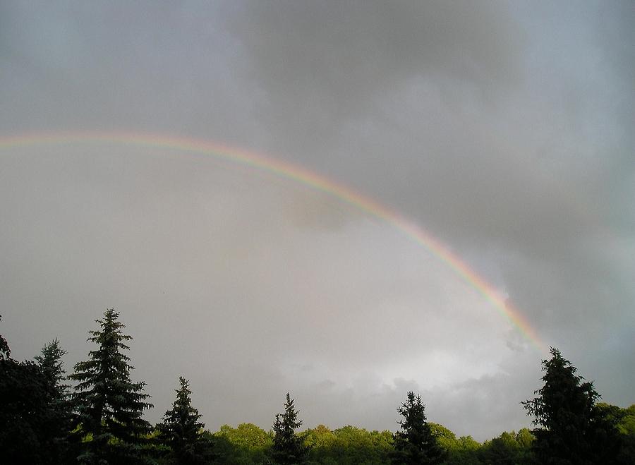 Rainbow Photograph - Full Rainbow after the Rain by Liz Lare