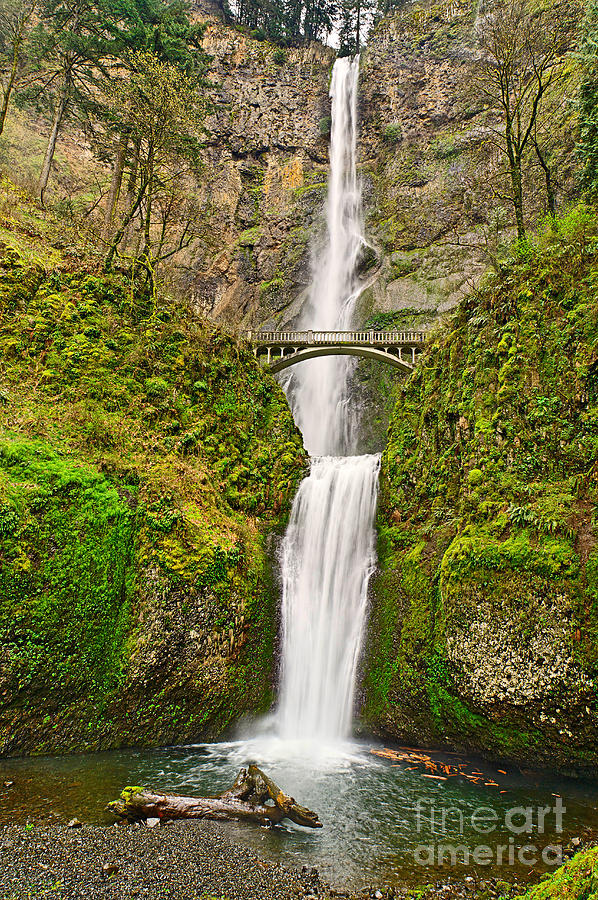 Nature Photograph - Full view of Multnomah Falls in the Columbia River Gorge of Oregon by Jamie Pham