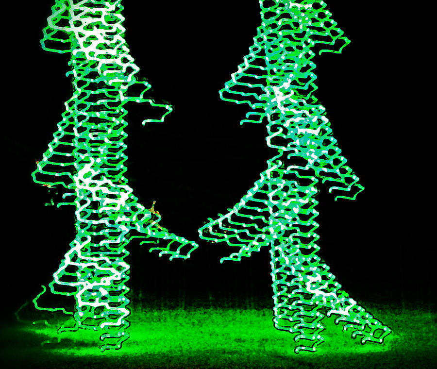Fun Christmas Trees Photograph by Mike Martin