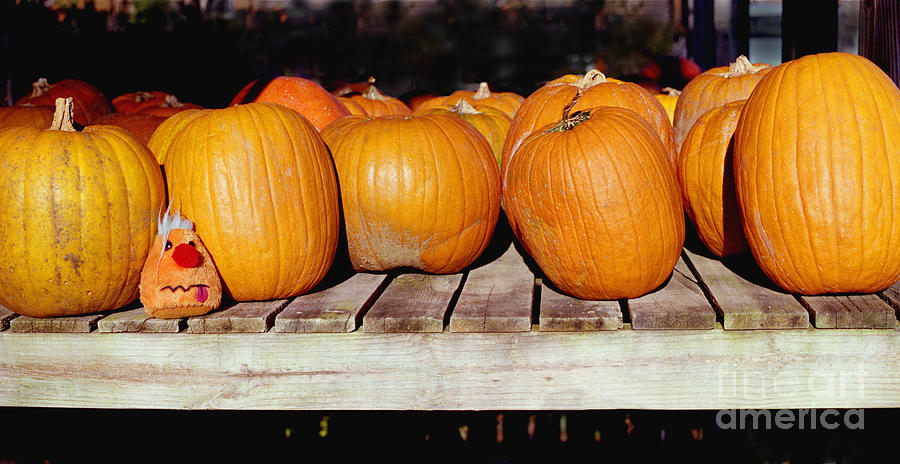 Fun Pumpkin Photograph by Tom Brickhouse