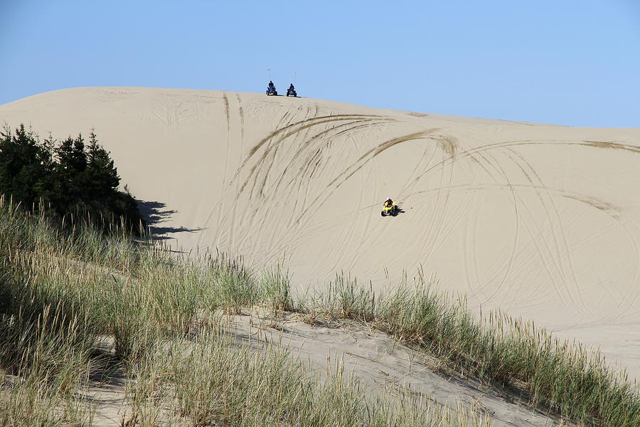 Nature Photograph - Fun Ride On Oregon Dunes by Christiane Schulze Art And Photography