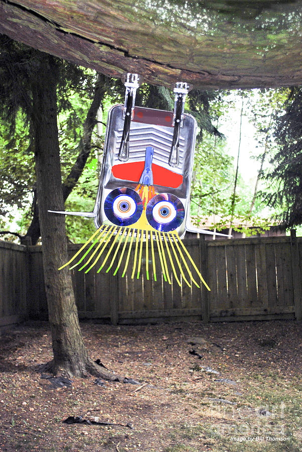 Fun to hang upside down from a tree Mixed Media by Bill Thomson
