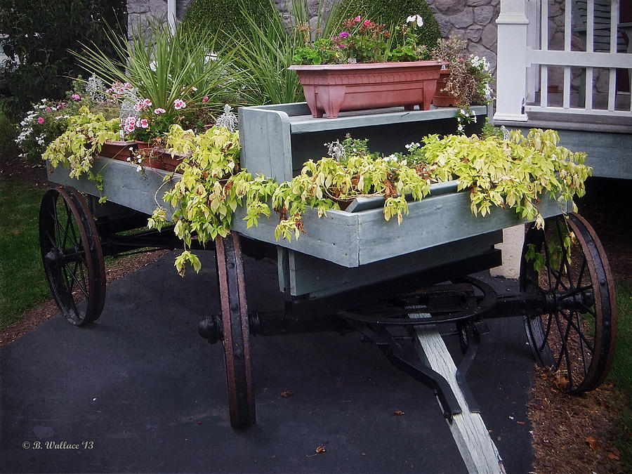 Flower Photograph - Funeral Wagon by Brian Wallace
