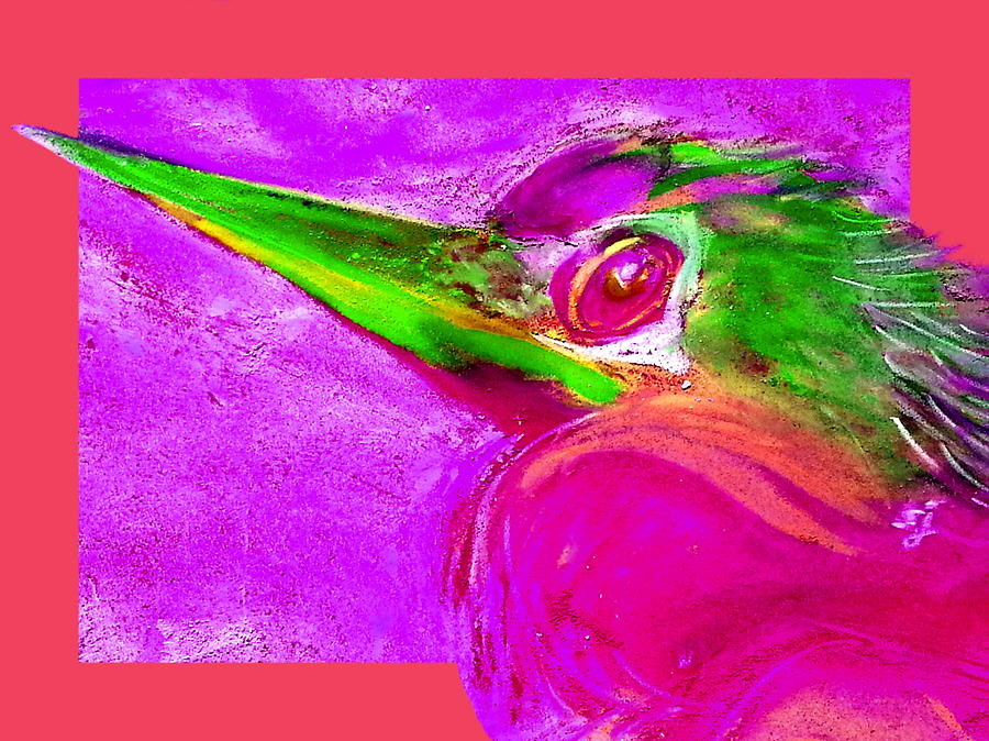Anhinga Painting - Funky Anhinga Snake Bird Water Turkey Art Prints by Sue Jacobi