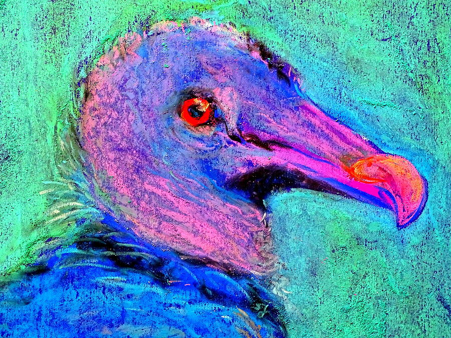 Vulture Painting - Funky Baby Black Vulture Art Prints by Sue Jacobi