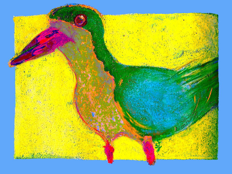 Funky Black Skimmer Bird Art Prints Painting by Sue Jacobi
