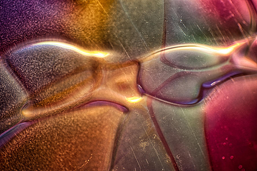 Abstract Photograph - Funky Fish by Omaste Witkowski