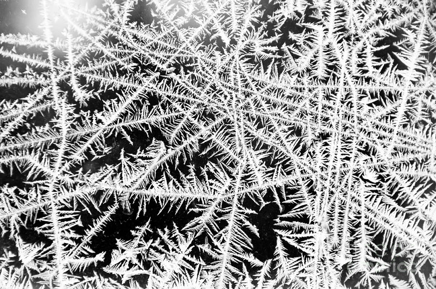 Funky Frost Photograph by Cheryl Baxter