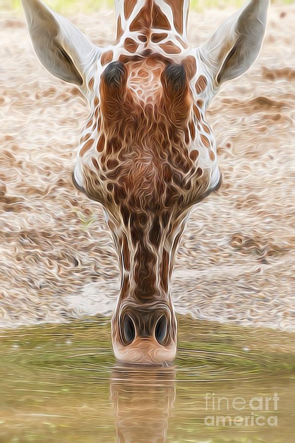 Funky Giraffe Photograph by Patty Colabuono