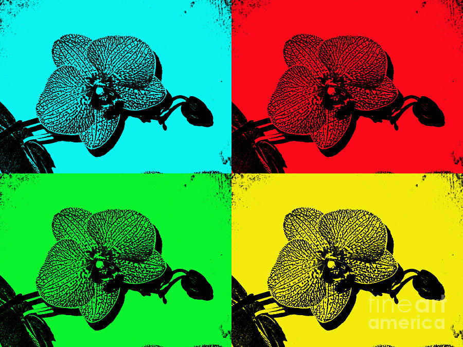 Funky Grunge Pop Art Orchids Photograph by Renee Trenholm