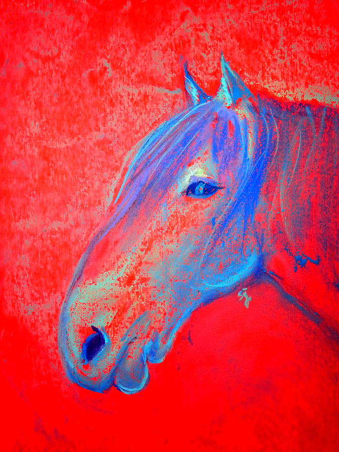 Funky Handsome Horse Blue Painting by Sue Jacobi