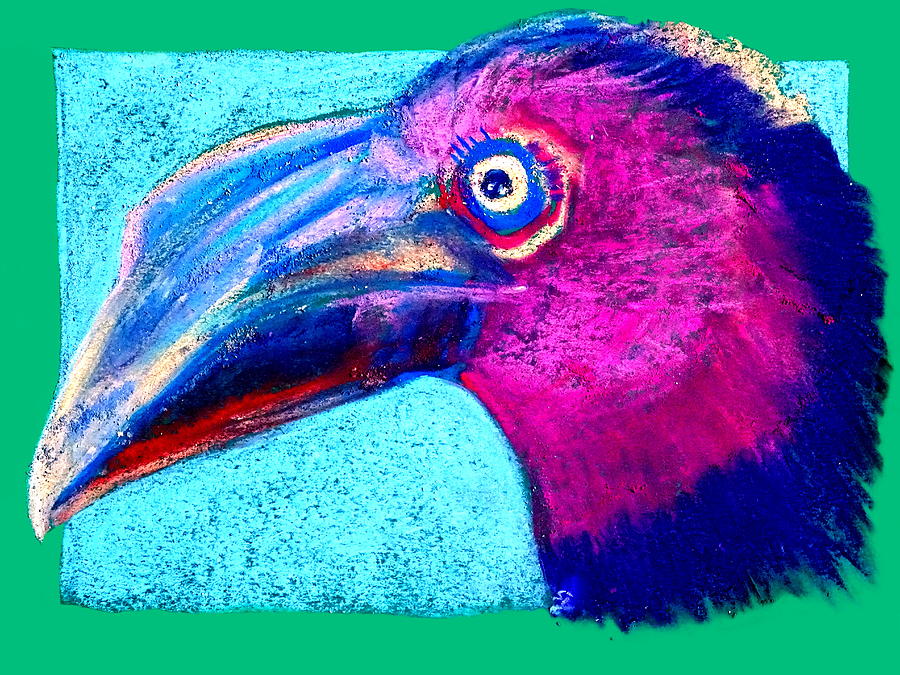 Bird Painting - Funky Hornbill Bird Art Prints by Sue Jacobi
