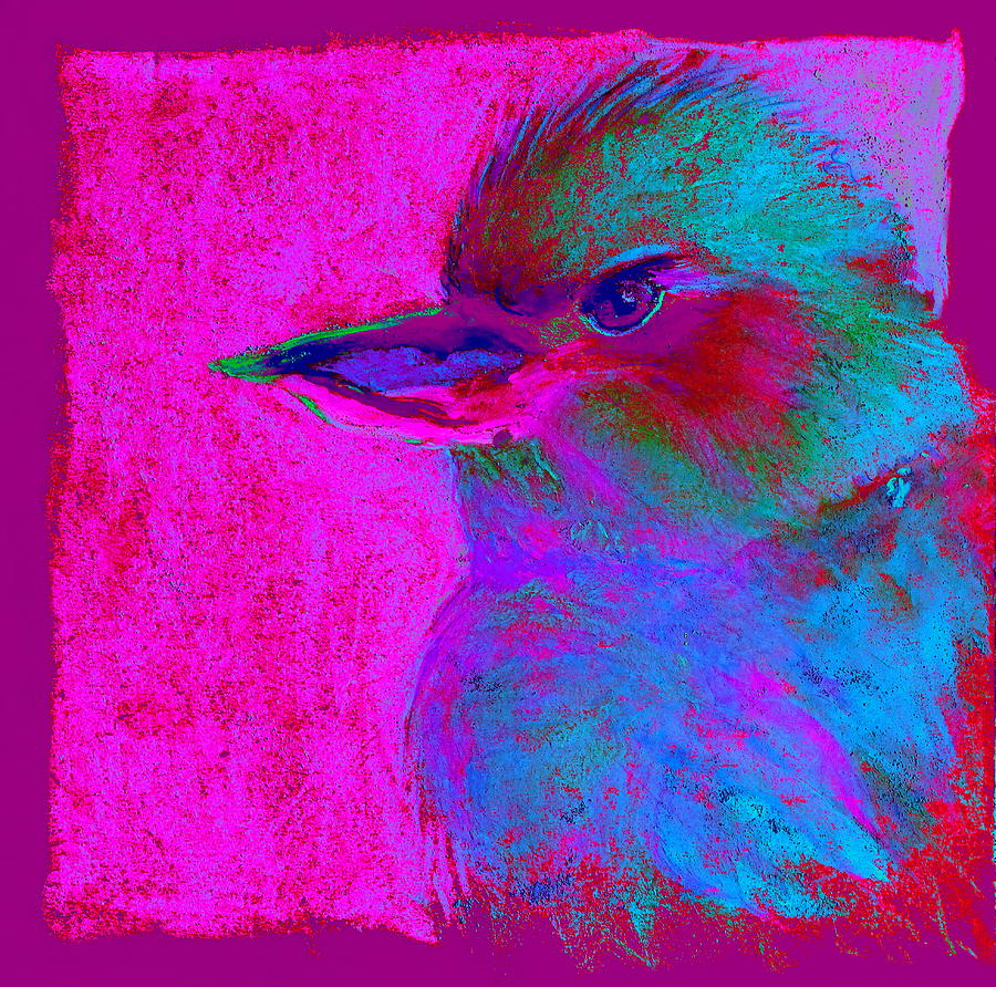 Funky Kookaburra Australian Bird Art Prints Painting by Sue Jacobi