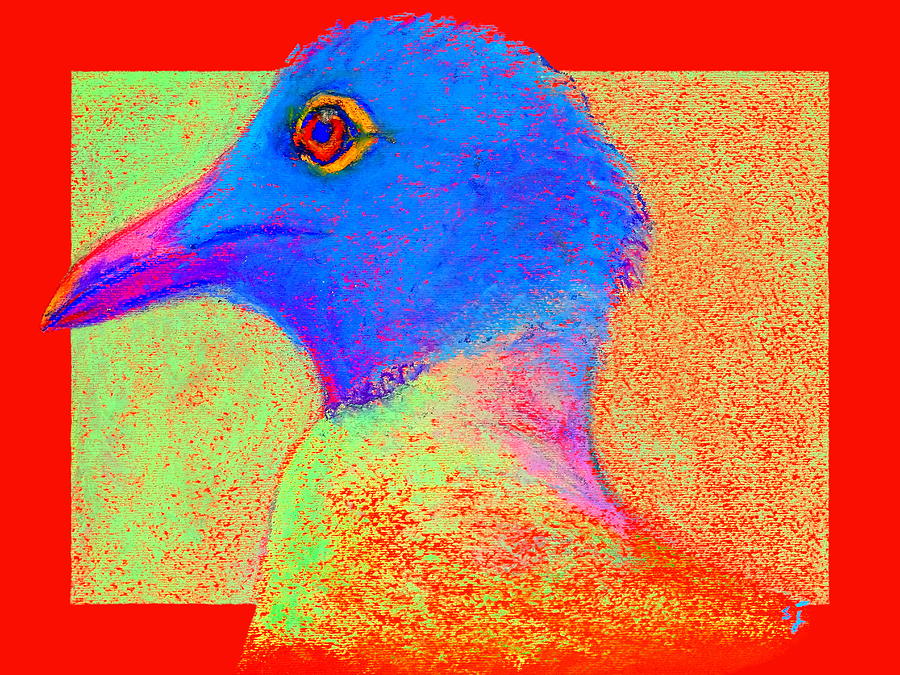 Seagull Painting - Funky Laughing Gull Bird 2 Art Prints by Sue Jacobi