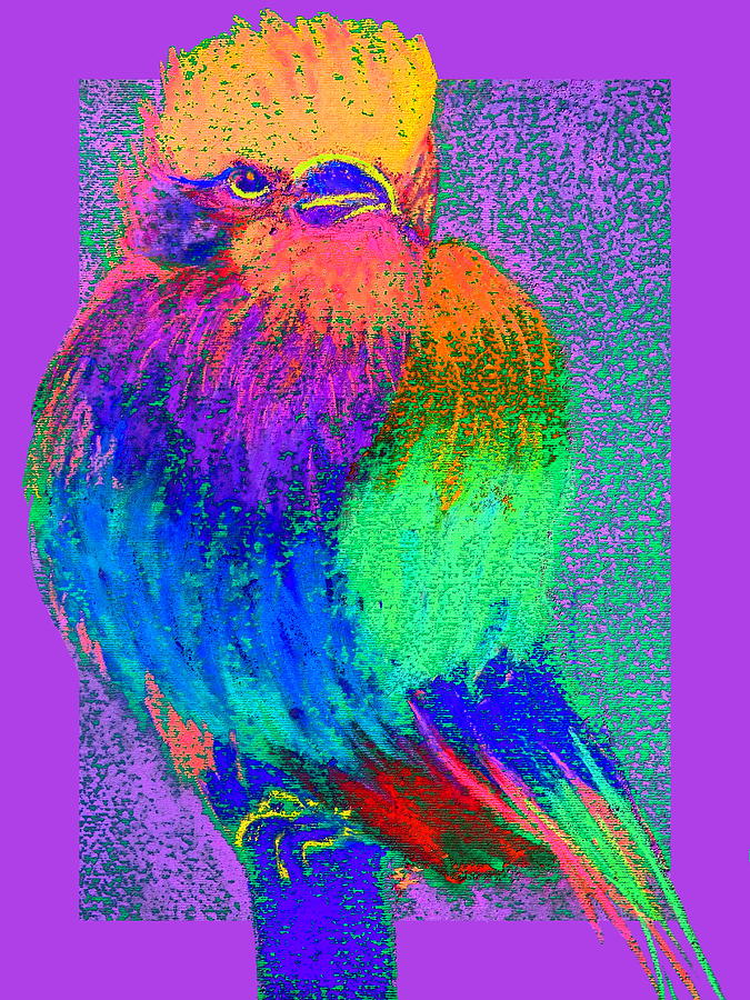 Funky Lilac Breasted Roller Bird Art Prints Painting by Sue Jacobi