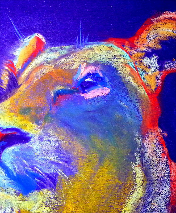 Funky Lioness Jungle Queen Painting by Sue Jacobi
