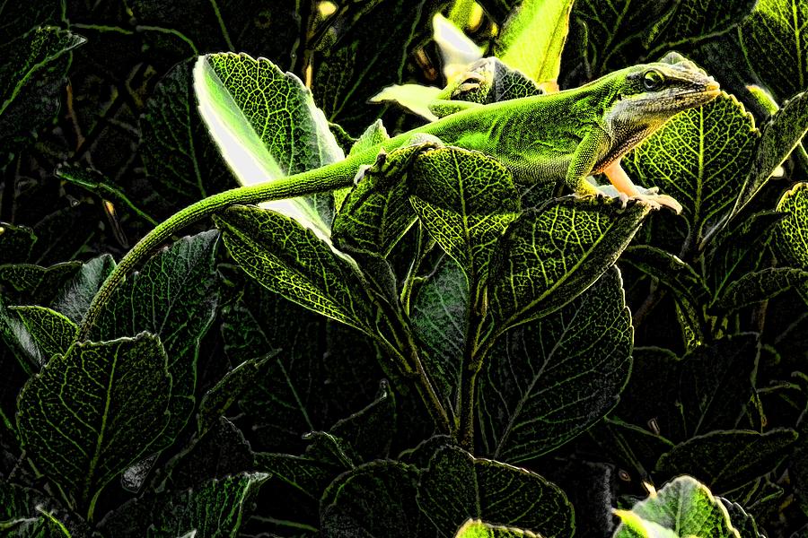 Fractal Nature South Carolina Green Lizard Digital Art by Robert Rhoads