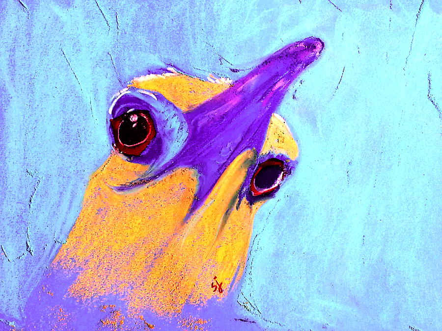 Funky Night Heron Bird Art Print Painting by Sue Jacobi