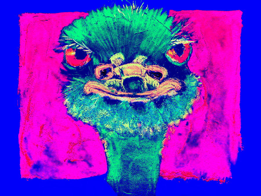 Ostrich Painting - Funky Ostrich Cool Dude Art Prints by Sue Jacobi