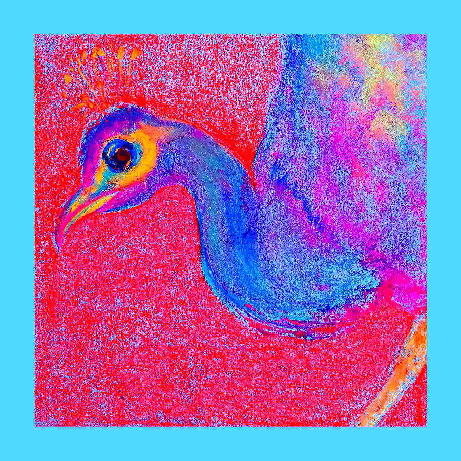 Bird Painting - Funky Peacock Bird Art Prints by Sue Jacobi