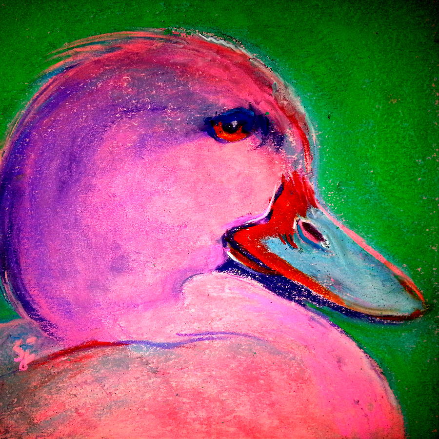 Bird Painting - Funky Pinky Ducky Art Print by Sue Jacobi