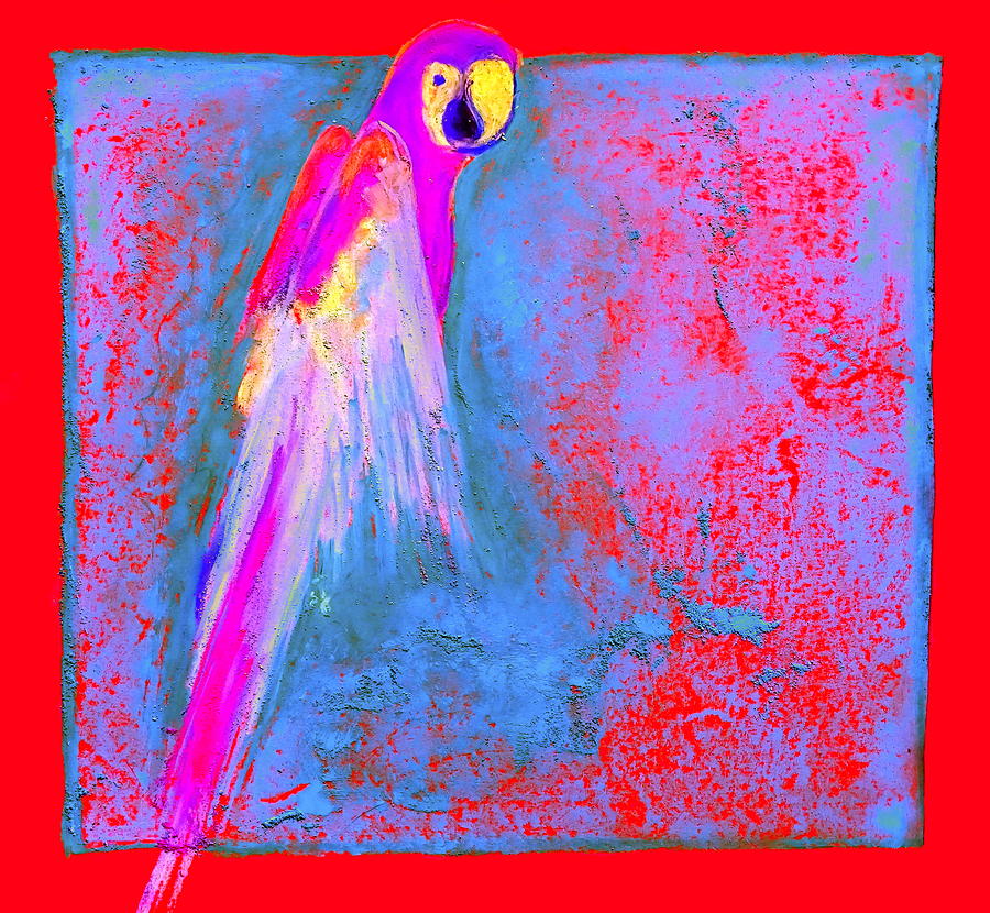 Bird Painting - Funky Rainbow Parrot Art Prints by Sue Jacobi
