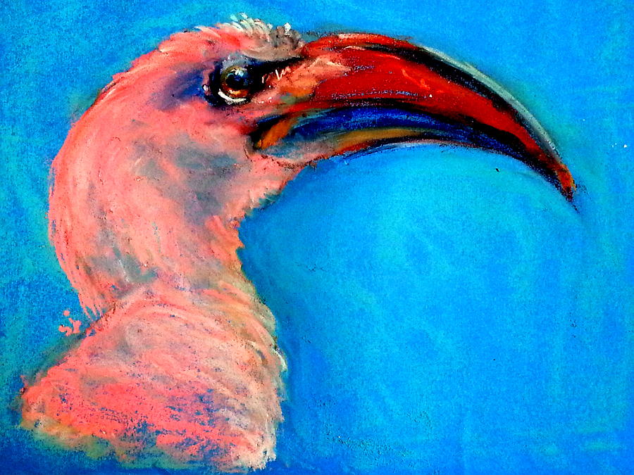 Funky Red-billed Hornbill Art Print Painting by Sue Jacobi